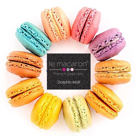 Le Macaron French Pastries - 56 Photos - Bakeries - 11401 NW 12th St ...