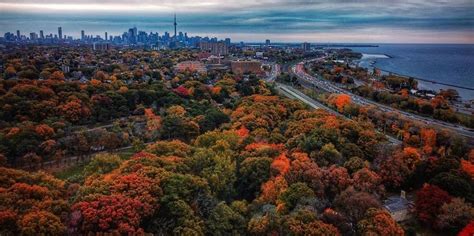 Toronto's Fantastic Fall Foliage in Photos: High Park