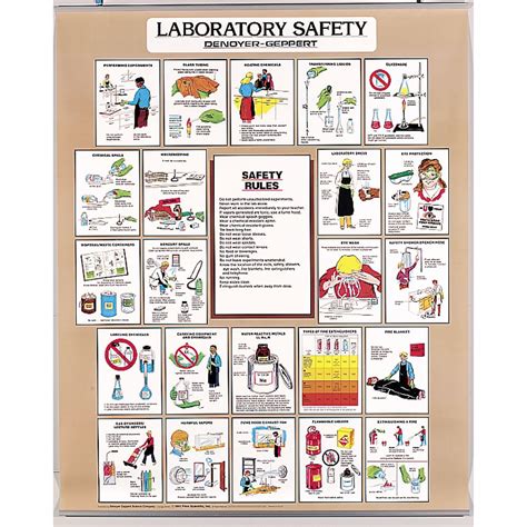 Safety Rules Chart