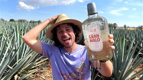 GRAN MALO: Tequila sabor a tamarindo | ¿Cómo se hace y por qué es TAN DELICIOSO? 🤤🥃 - YouTube