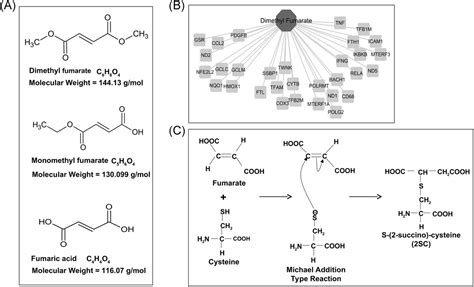 Dimethyl Fumarate Molecular Weight | Blog Dandk