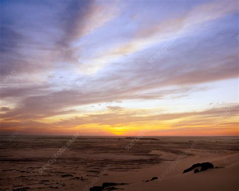 Sunset in the Sahara - Stock Image - R500/0746 - Science Photo Library