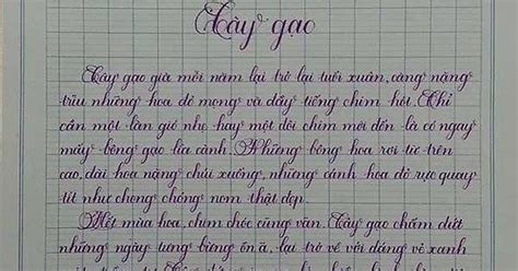 This Vietnamese handwriting is prettier than any computer font. : r ...