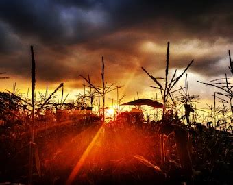 Iowa cornfield landscape photography sunrise photo