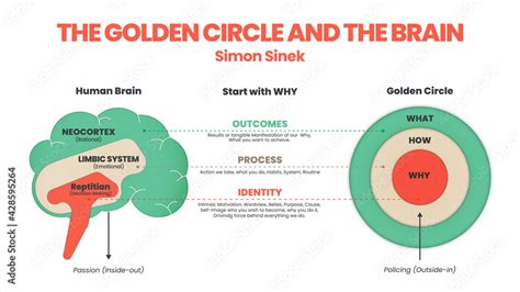 The Golden Circle and brain illustration of Simon Sinek has 3 elements ...