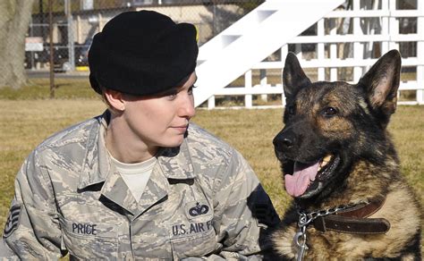 Military working dogs: service members' best friends > Joint Base ...