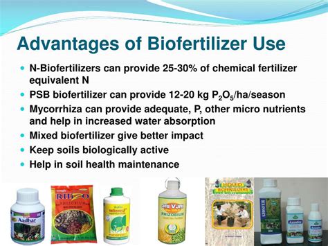 PPT - Biofertilizers An input less exploited PowerPoint Presentation, free download - ID:316635