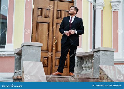 Stylish Indian Businessman in Formal Wear. Stock Image - Image of ...