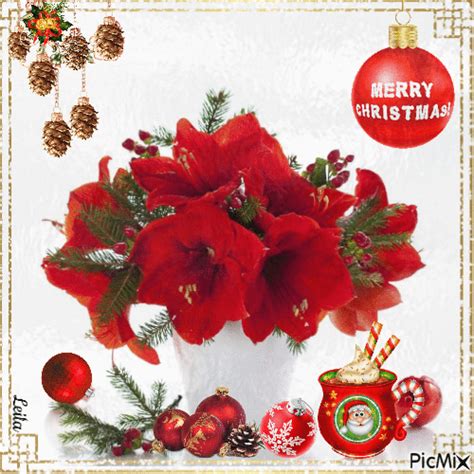 Red Flowers Merry Christmas Gif Pictures, Photos, and Images for ...