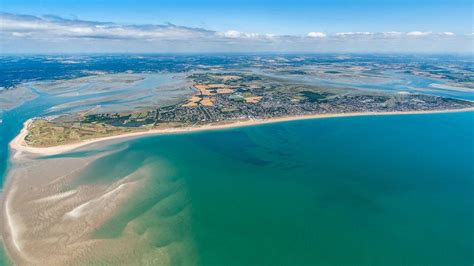 Solent Seascape Project launched to restore marine habitats - BBC News