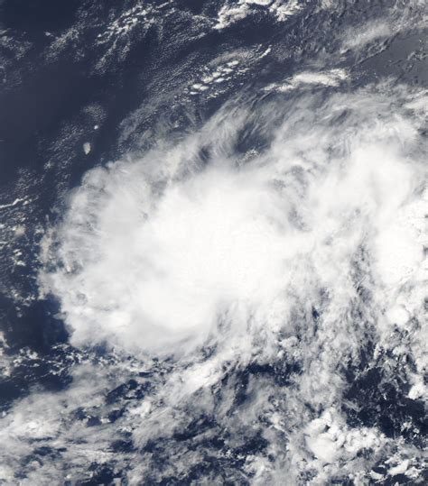 File:Tropical Depression 10 (2005).png - Wikimedia Commons