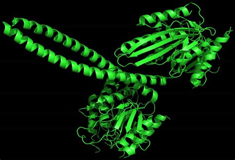 Kinesin Esthetics - Famous Proteins in Frames