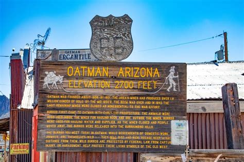 Things to Do in Oatman, a Ghost Town in Arizona