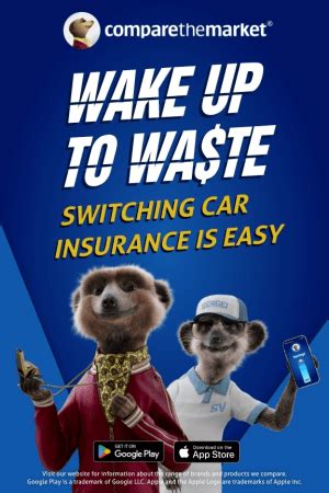 A look back at Compare the Market's meerkat campaigns - AdNews