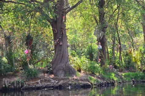 Island of Dolls, Xochimilco, Mexico - Infy world