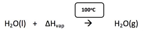 Simple, Quick, and Accurate Determination of the Heat of Vaporization of Water | Chemical ...