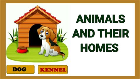 Animals and their homes | Animals home | Home of animals | Animal homes ...