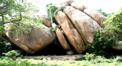 Old Oyo Park: Where history blends with nature - Vanguard News