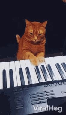 Piano Cat PFP - Piano Cat Profile Pics