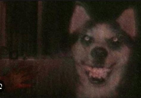 Does anyone know the origin of smile dog : r/creepypasta