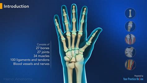 Hand Anatomy Video | Medical Video Library