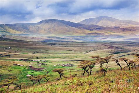 Savannah Landscape In Tanzania Photograph by Michal Bednarek