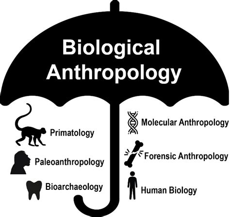 Chapter 1: Introduction to Forensic Anthropology – PPSC ANT 2315 Intro to Forensic Anthropology