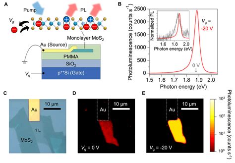 Schematics of the device and the gate dependence of photoluminescence ...