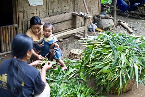 Laos Village Life IX by emrerende on DeviantArt