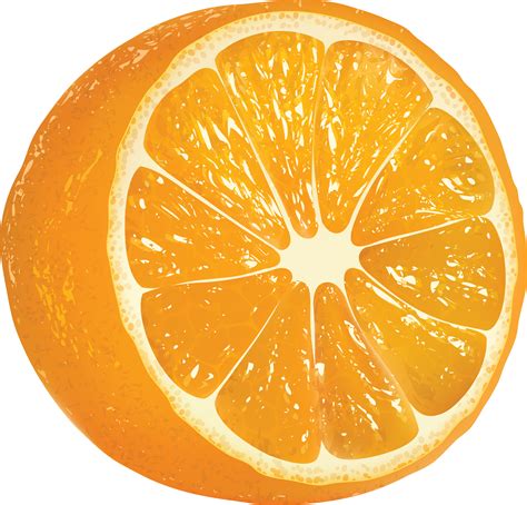 Orange PNG Image - PurePNG | Free transparent CC0 PNG Image Library