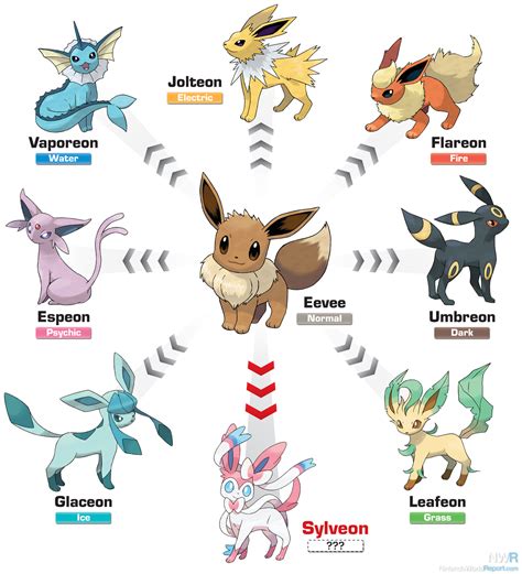 A New Evolution of Eevee Announced for Pokémon X and Y - News - Nintendo World Report