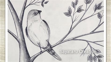 Aggregate 152+ bird tree drawing super hot - seven.edu.vn