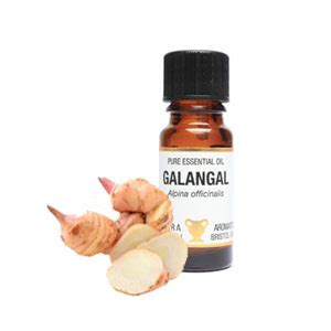 Galangal facts and health benefits