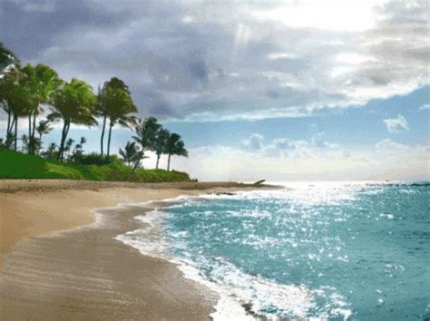 Beach Water GIF - Beach Water Sea - Discover & Share GIFs