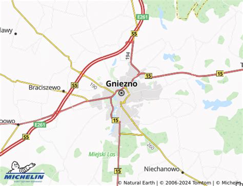 MICHELIN Gniezno map - ViaMichelin