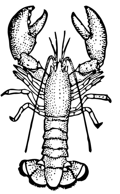 Lobster Clipart Black And White | Free download on ClipArtMag