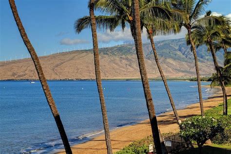 Remodeled Beach Front Condo - Great Views - Kihei Beach #306 UPDATED ...