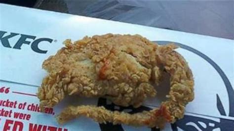 Lab test reveals that tender shaped like rat is actually chicken, KFC ...