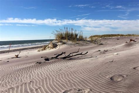 Sandy Coast Landforms (U.S. National Park Service)