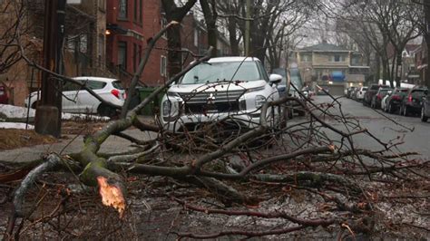 How Montreal is progressing with storm cleanup