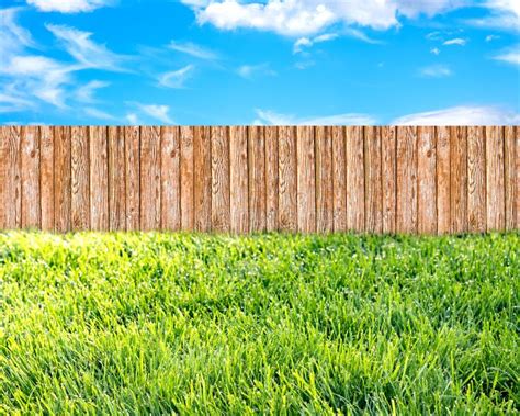 Wooden Garden Fence at Backyard, Green Grass and Blue Sky with White Clouds Stock Photo - Image ...