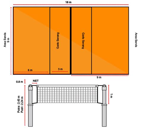 Ukuran Lapangan Bola Voli + Tinggi Net [Lengkap+Gambar]
