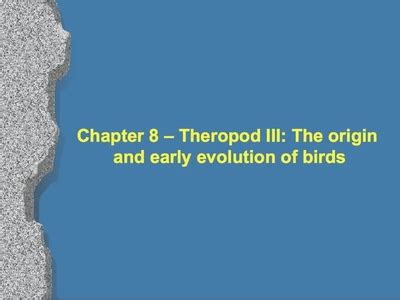 Chapter 8 - Theropoda III - The origin and early evolution of birds ...