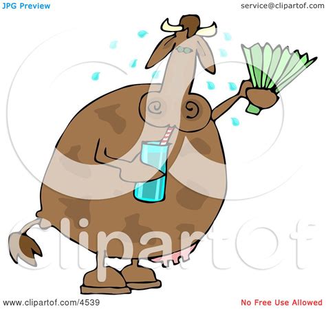 Hot Cow Drinking Water and Using a Foldable-fan Clipart by djart #4539