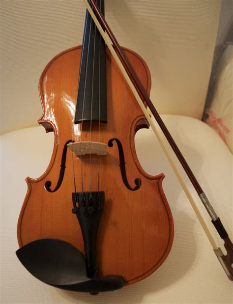 Free Images : musical instrument, percussion, cello, viola, classical music, display case ...