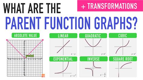 Parent Functions and Parent Graphs Explained — Mashup Math