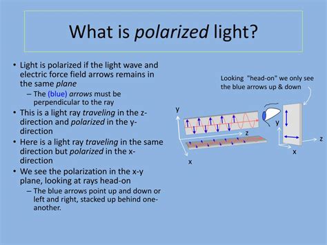 PPT - What is polarized light? PowerPoint Presentation, free download - ID:1554875