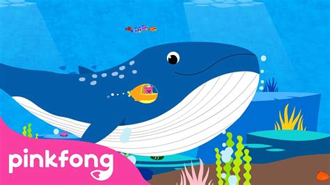 Paus Biru | Lagu Binatang | Kartun & Lagu Anak | Pinkfong dan Baby Shark - YouTube