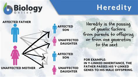 Genetics Examples