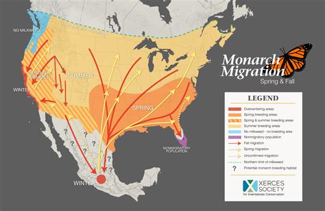 Migration | Arkansas Monarch Conservation Partnership